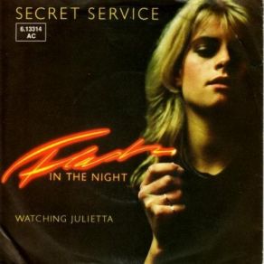 Download track Flash In The Night Secret Service