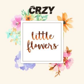 Download track Little Flowers (Extended Mix) Crzy