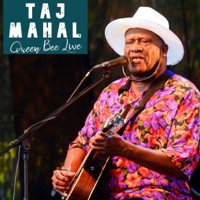 Download track Señor Blues (Live) Taj Mahal