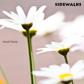 Download track Sidewalks Harald Hardy