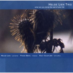 Download track So What Helge Lien Trio