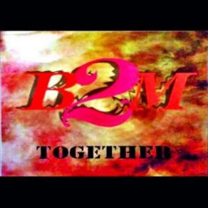 Download track Together (Radio Edit) B2m