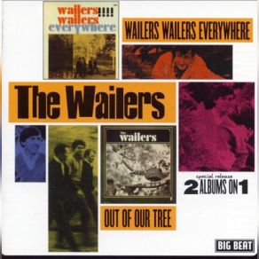 Download track The Wailer The Wailers