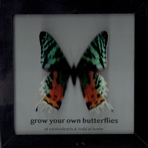 Download track It Is Not My Time Grow Your Own Butterflies