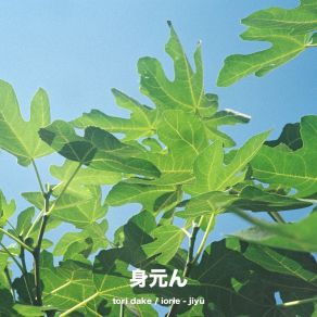 Download track Jiyū Iorie