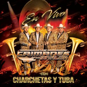 Download track A Puro Pecho (Live) Los Caimanes De Sinaloa