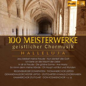 Download track St. John Passion, BWV 245: No. 40, Ach Herr, Lass Dein Lieb Engelein Thomanerchor Leipzig