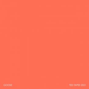 Download track Moby Goose