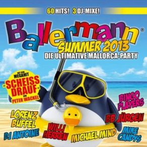 Download track Von Bayern Bis Zum Ballermann DJ Charly, Ingo Willich