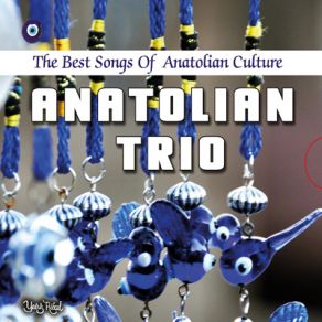 Download track Eklemedir Koca Konak Anatolian Trio