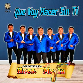 Download track Mi Negra Orquesta Hnos Mejia