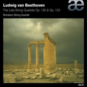 Download track String Quartet No. 16 In F Major, Op. 135: II. Vivace Brentano String Quartet