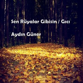 Download track Asker Oldum Sevgilim Aydın Güner
