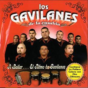 Download track La Zenaida Los Gavilanes De La Cumbia
