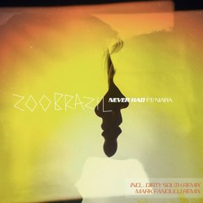 Download track Never Had Zoo Brazil, Niara