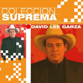 Download track Dime Que Es Mentira David Lee Garza