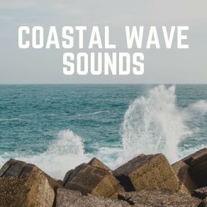 Download track Magic Of The Sea Wave Sound Group