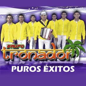 Download track Mujer Celosa Grupo Tronador