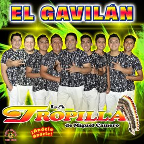 Download track Flor De Piña La Tropilla De Miguel Camero