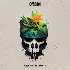 Download track Back To The Streets Cybin