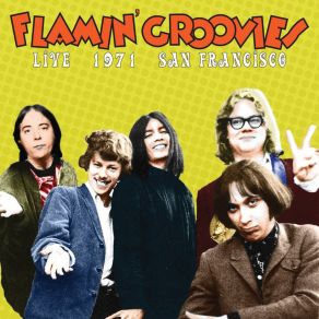 Download track Shakin' All Over (Live) The Flamin' Groovies