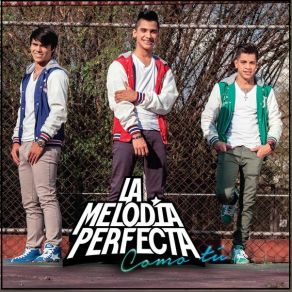 Download track Como Tu La Melodia Perfecta