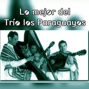 Download track Amores Hoy, Mañana No (Remastered) Trío Los ParaguayosLuis Alberto Del Paraná