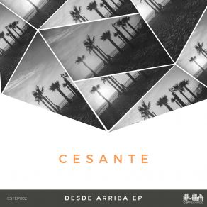 Download track Lsd (Original Mix) Cesante