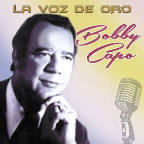 Download track Sed De Ti Bobby Capó