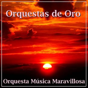 Download track Tritsch-Tratsch-Polka, Op. 214 Orquesta Música Maravillosa