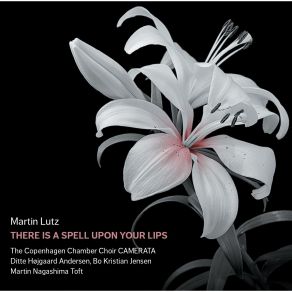 Download track 18.2 Marian Lovers: No. 1. Salve Regina Martin Lutz