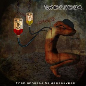 Download track FROZEN ROSE (RADIO EDIT)  SYNESTHESIA
