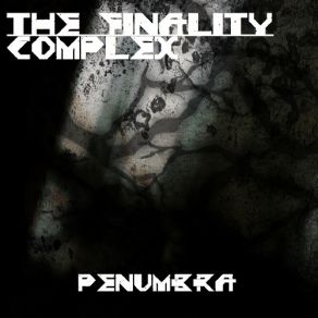 Download track From The Inside The Finality Complex
