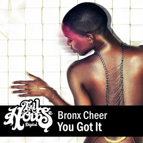 Download track You Got It (Original Mix) Bronx Cheer