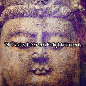 Download track Search Inside Ambient Forest