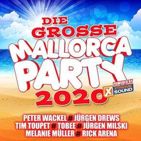 Download track Party Unser Gib Uns Heute Willi Girmes, Delfinos