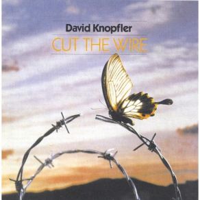 Download track The Hurricane Dire Straits, David Knopfler