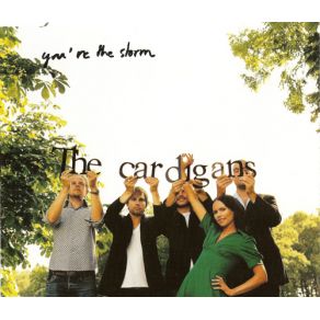 Download track You'Re The Storm The Cardigans