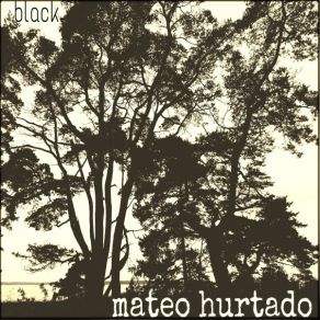 Download track Wall Of Glass Mateo Hurtado