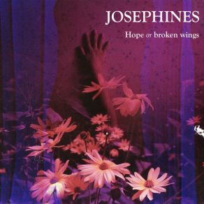Download track On The Rocks The JosephinesMônica R
