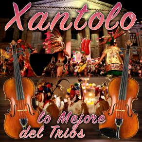 Download track La Ofrenda Xantolo