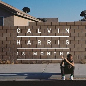 Download track Sweet Nothing [Extended Mix] Calvin HarrisFlorence Welch