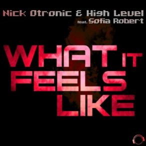 Download track What It Feels Like (Summer Edit) Nick Otronic, High Level, Sofia Robert