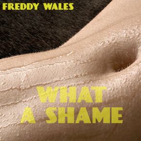 Download track Countryside Freddy Wales