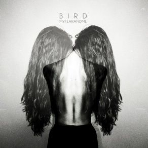 Download track Oh My Love Bird