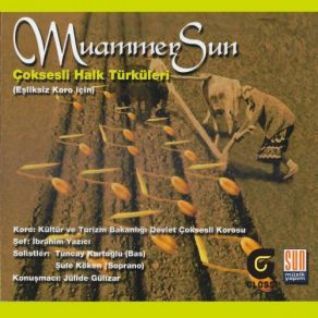 Download track Yeni Cami Avlusunda Muammer Sun