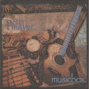 Download track Every Morning Peter Mayer