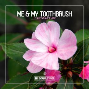 Download track I Take What's Mine (Extended Mix) Me My Toothbrush