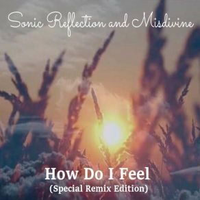 Download track How Do I Feel (Extended) Sonic Reflection