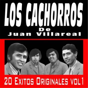 Download track Perdi La Esperanza Los Cachorros De Juan Villarreal